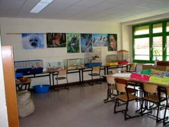 Beschreibung: Beschreibung: D:\Dokumente-Schule\HomePage_Schule_alt\gztag\gt04.jpg